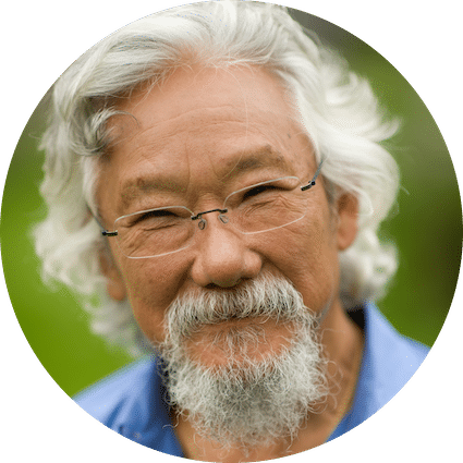 David Suzuki Foundation