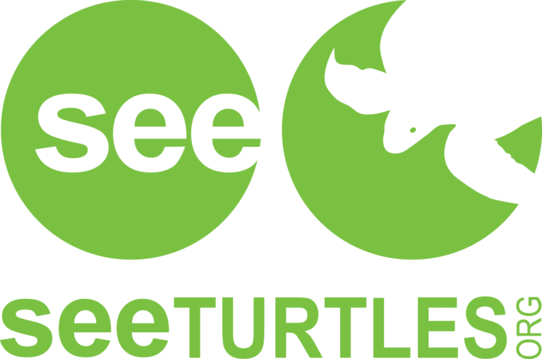 SEE Turtles